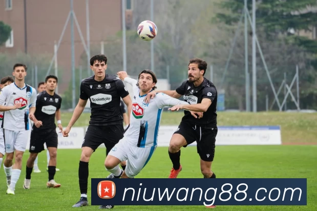 牛王俱乐部官网平台生态图